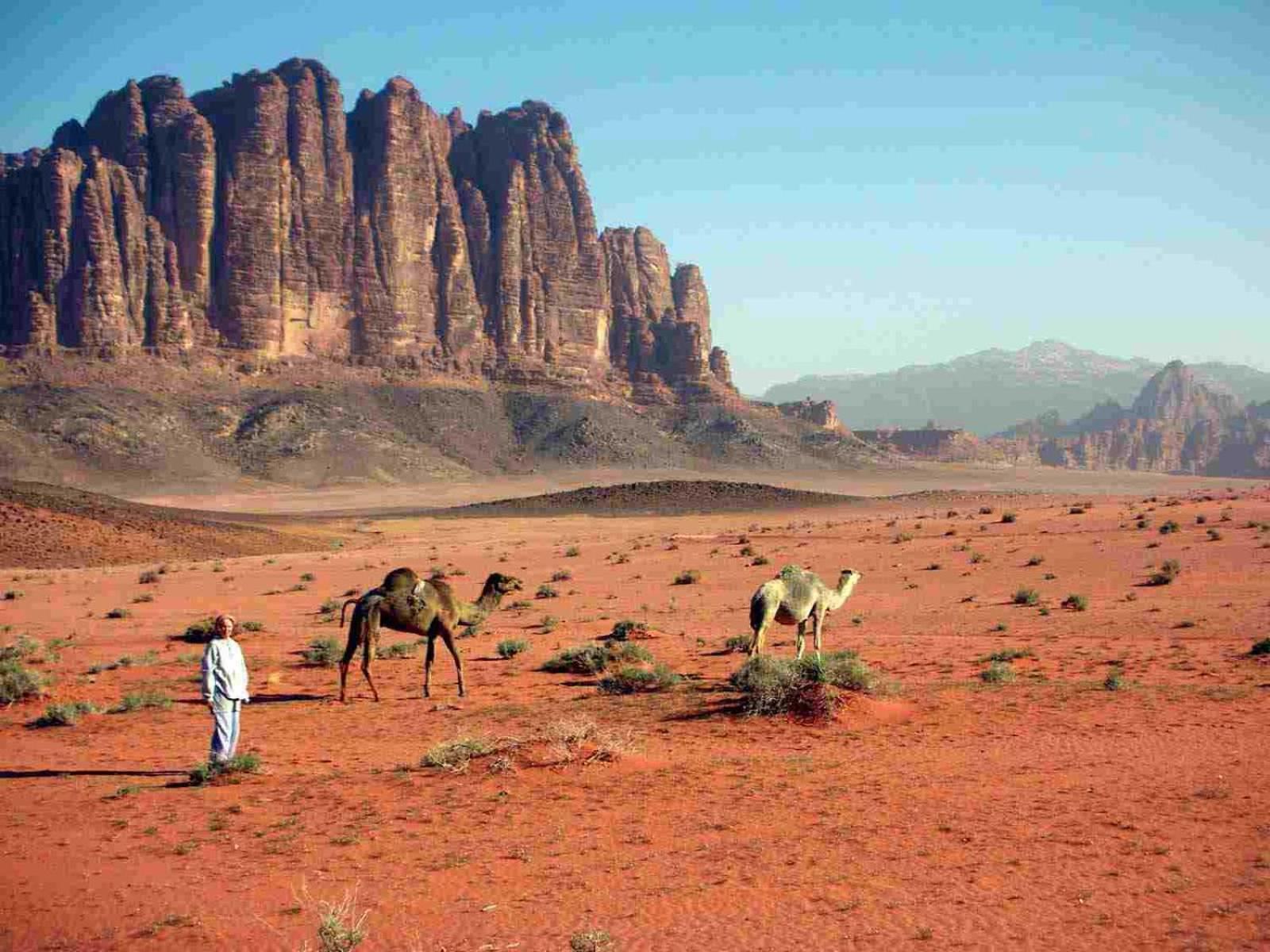 Wadi Rum Mundo Camp アカバ エクステリア 写真