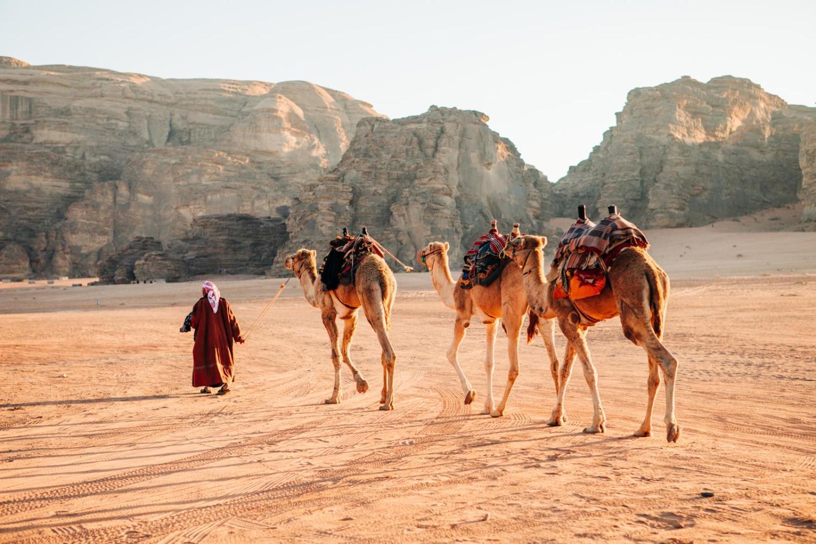 Wadi Rum Mundo Camp アカバ エクステリア 写真