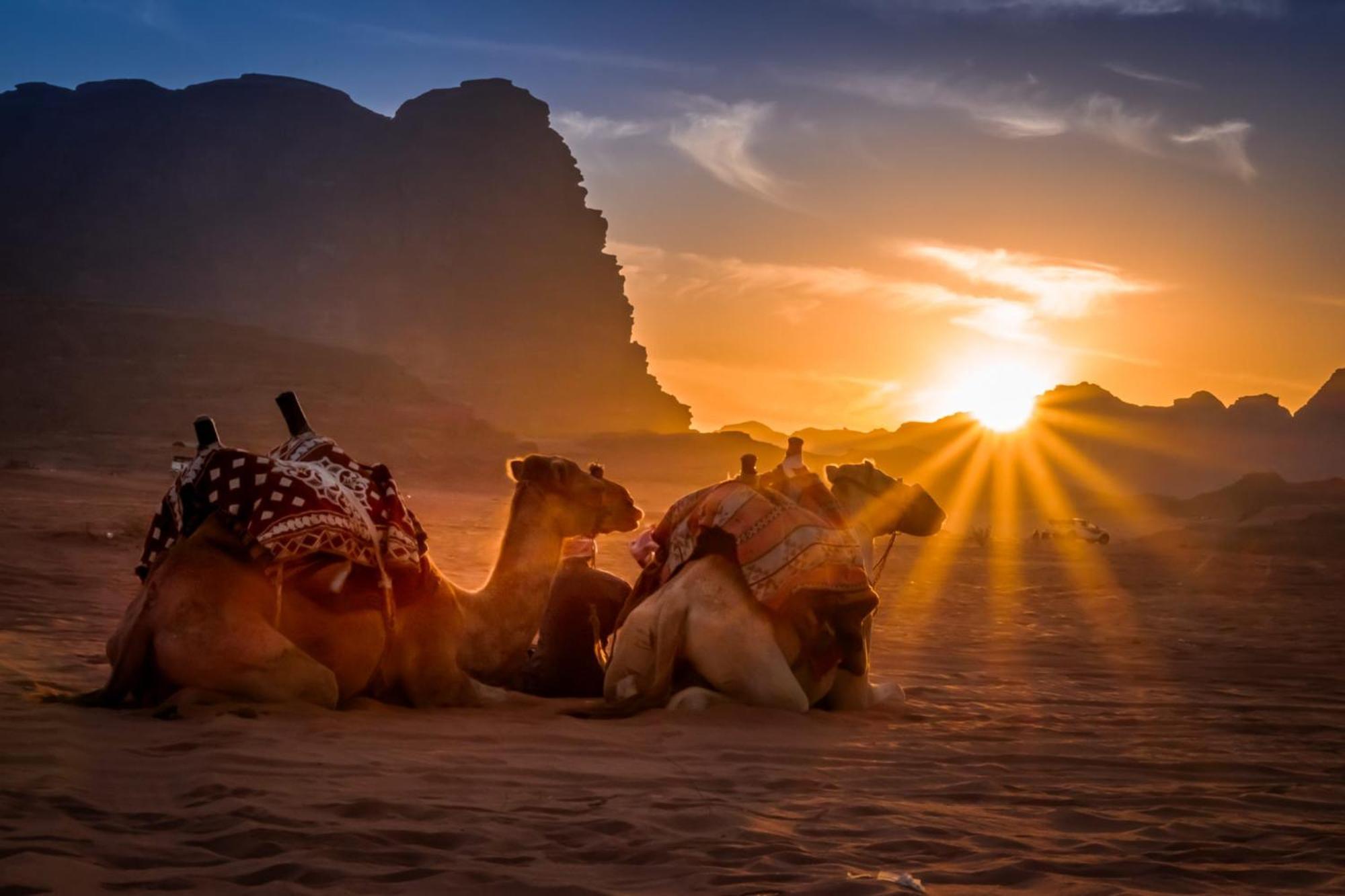 Wadi Rum Mundo Camp アカバ エクステリア 写真